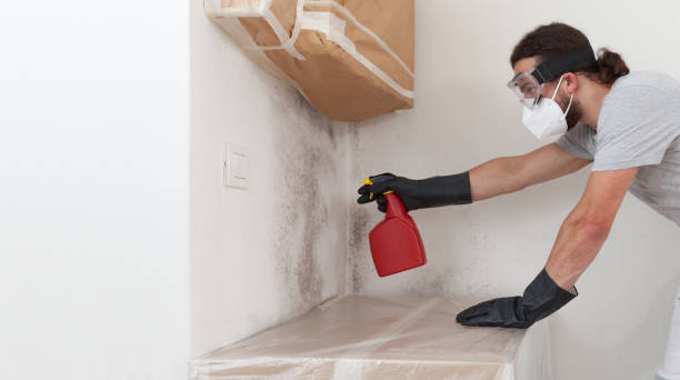 Professional Bathroom Mold Removal technician working in Warfield, VA